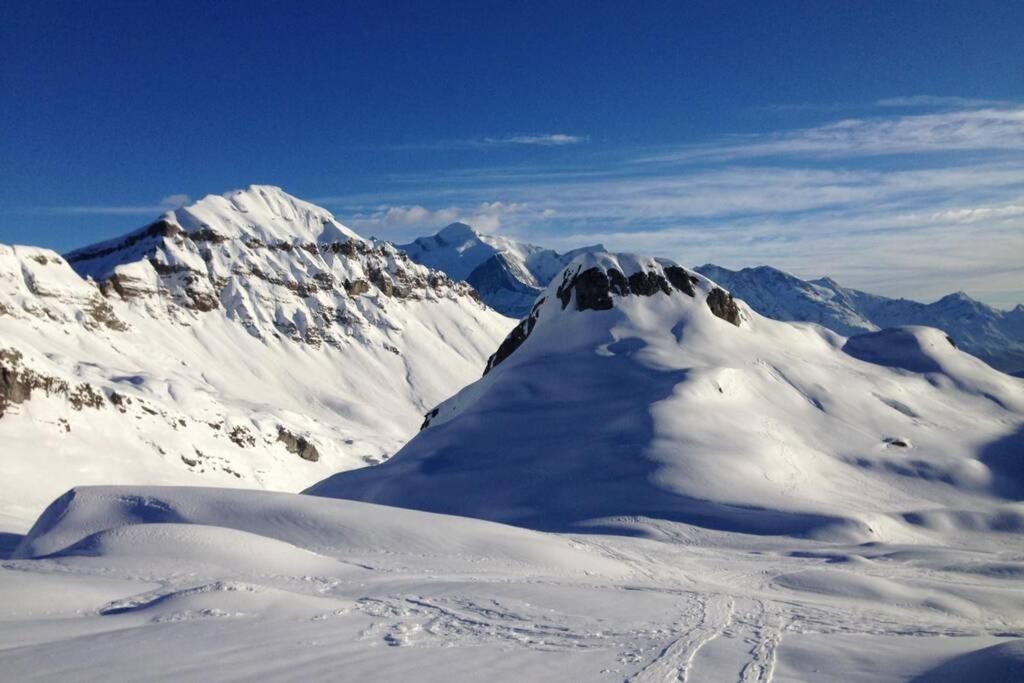 Eden Roc Grand Massif Apartamento Les Carroz d'Araches Exterior foto
